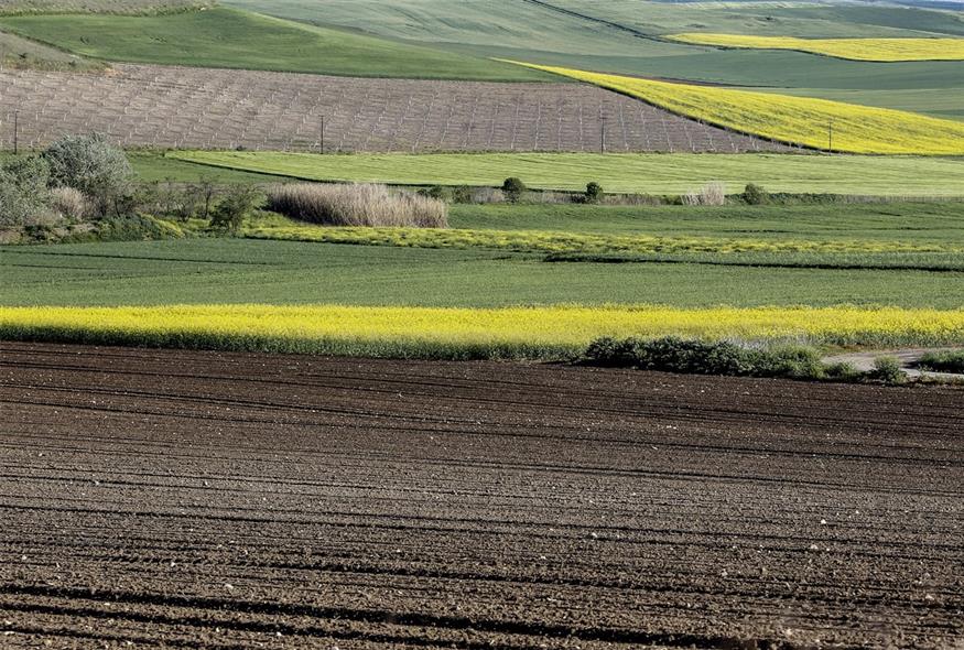 Η ακτινογραφία του κάμπου της Καρδίτσας λίγο πριν τις εαρινές σπορές