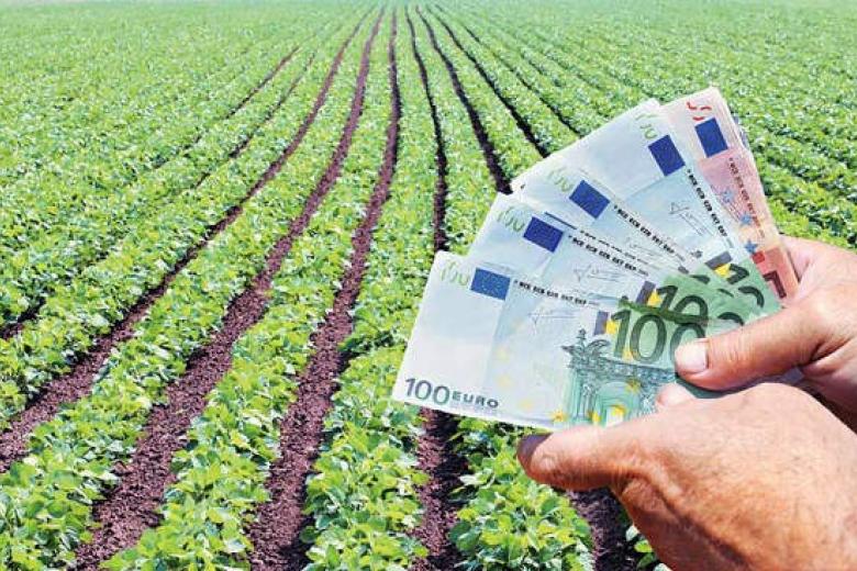 Τον Ιούλιο εκκαθάριση εκκρεμοτήτων 2024 ύψους 42,2 εκατ. ευρώ και επανεκκινούν οι πληρωμές των Σχεδίων
