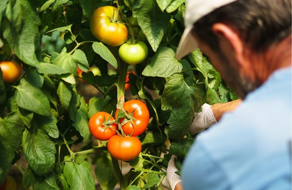 Υπερμειωμένο ΦΠΑ στο 6% για το σύνολο των προϊόντων θρέψης χρειάζεται η αγορά.