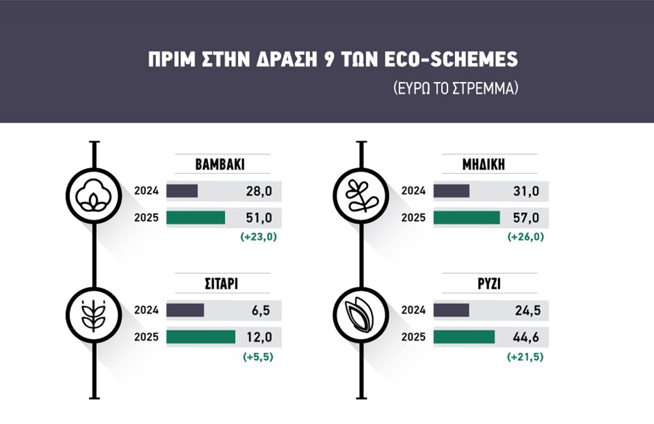 Μόνο μέσω eco- schemes η αναδιανομή 80 εκατ. σε βαμβάκι, σιτάρι, ρύζι μηδική, πολλά φίλτρα, άγνωστη η στρεμματική