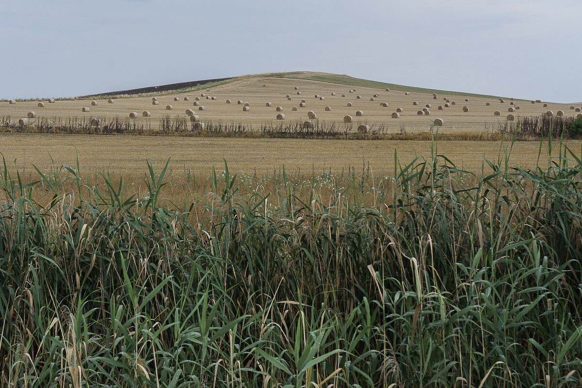 Αν ο κάμπος έχει μέλλον τότε έχει και η εθνική οικονομία…