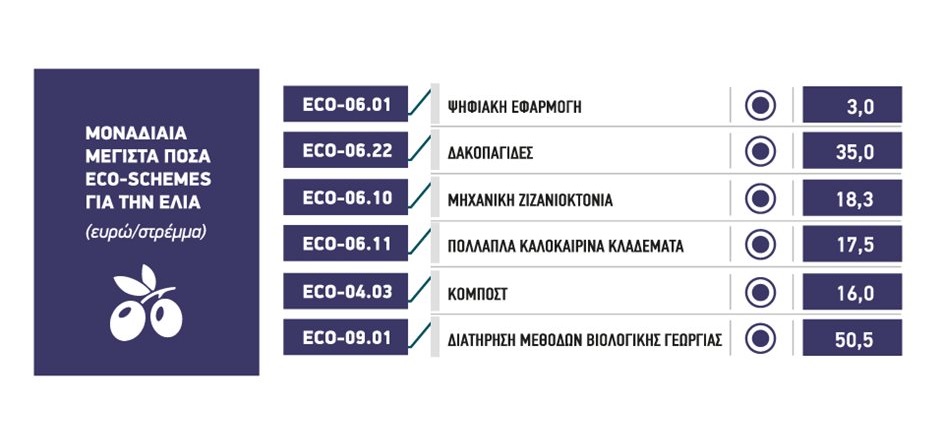 Επανέρχονται δυναμικά στις επιδοτήσεις των eco-schemes, οι ελιές, περιθώριο για ενίσχυση ως 66 ευρώ το στρέμμα
